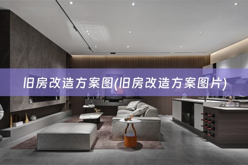 旧房改造方案图(旧房改造方案图片)