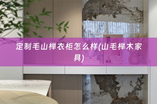 定制毛山榉衣柜怎么样(山毛榉木家具)