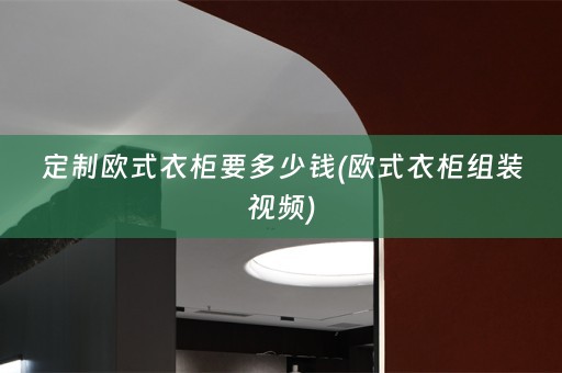 定制欧式衣柜要多少钱(欧式衣柜组装视频)