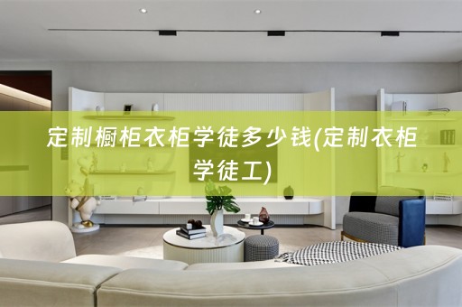 定制橱柜衣柜学徒多少钱(定制衣柜学徒工)