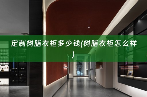 定制树脂衣柜多少钱(树脂衣柜怎么样)