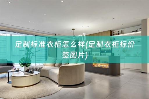 定制标准衣柜怎么样(定制衣柜标价签图片)