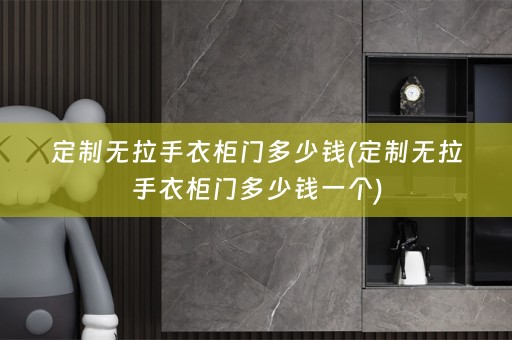定制无拉手衣柜门多少钱(定制无拉手衣柜门多少钱一个)
