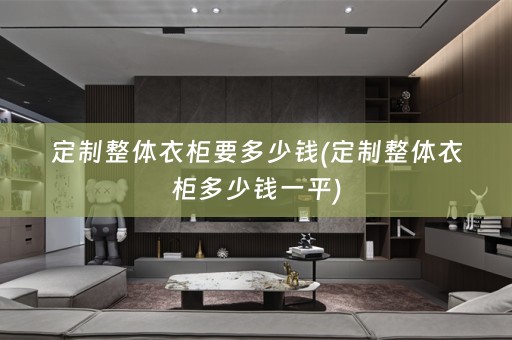定制整体衣柜要多少钱(定制整体衣柜多少钱一平)