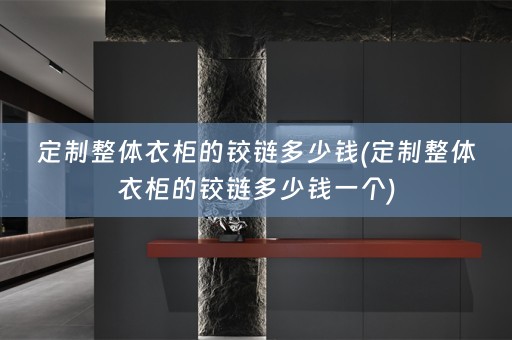 定制整体衣柜的铰链多少钱(定制整体衣柜的铰链多少钱一个)