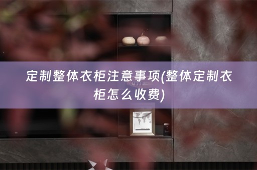 定制整体衣柜注意事项(整体定制衣柜怎么收费)