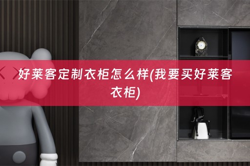 好莱客定制衣柜怎么样(我要买好莱客衣柜)
