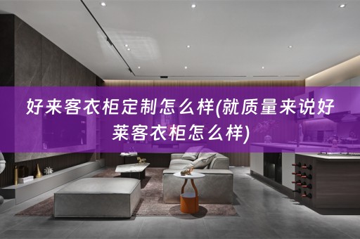 好来客衣柜定制怎么样(就质量来说好莱客衣柜怎么样)