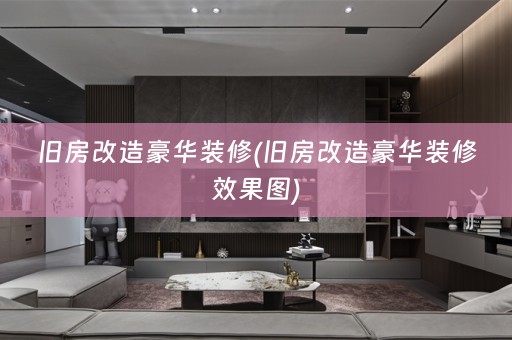 旧房改造豪华装修(旧房改造豪华装修效果图)