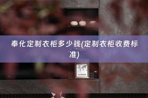 奉化定制衣柜多少钱(定制衣柜收费标准)