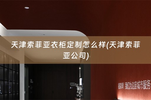 天津索菲亚衣柜定制怎么样(天津索菲亚公司)