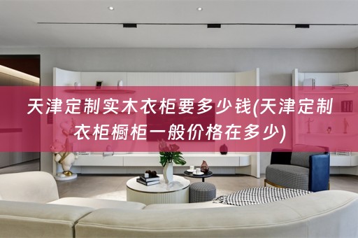 天津定制实木衣柜要多少钱(天津定制衣柜橱柜一般价格在多少)