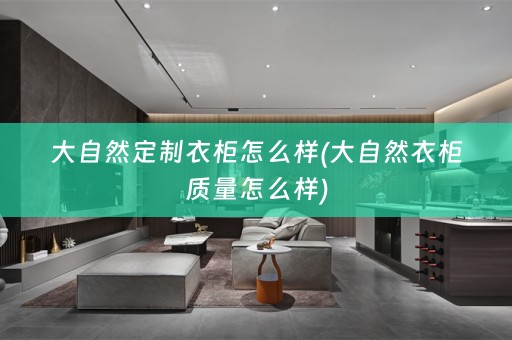 大自然定制衣柜怎么样(大自然衣柜质量怎么样)