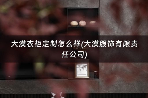 大漠衣柜定制怎么样(大漠服饰有限责任公司)