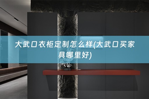 大武口衣柜定制怎么样(大武口买家具哪里好)