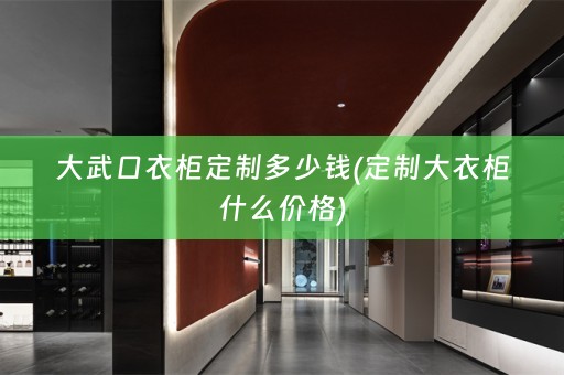 大武口衣柜定制多少钱(定制大衣柜什么价格)