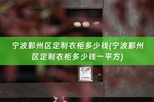 宁波鄞州区定制衣柜多少钱(宁波鄞州区定制衣柜多少钱一平方)
