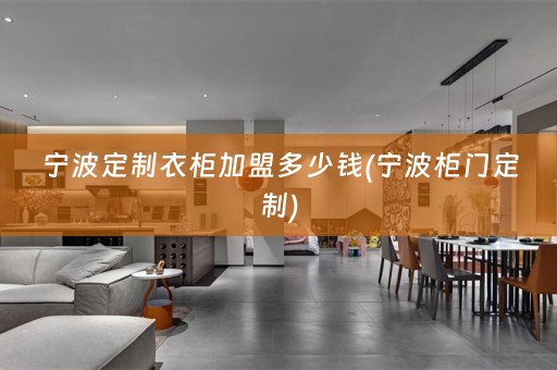 宁波定制衣柜加盟多少钱(宁波柜门定制)