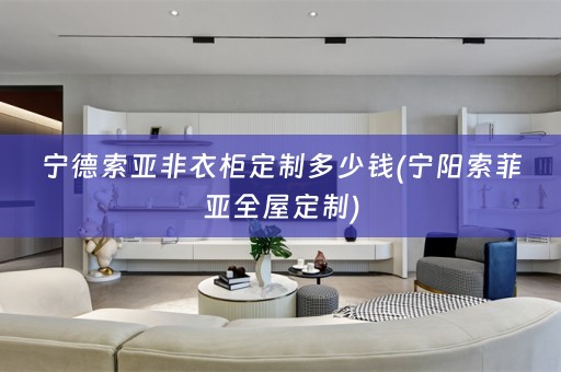 宁德索亚非衣柜定制多少钱(宁阳索菲亚)