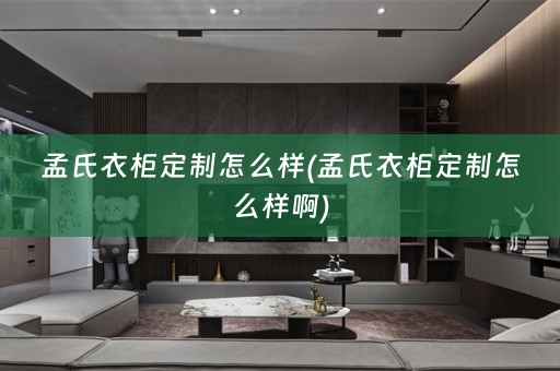 孟氏衣柜定制怎么样(孟氏衣柜定制怎么样啊)