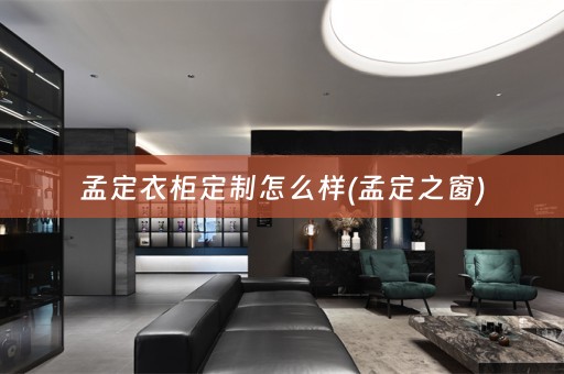 孟定衣柜定制怎么样(孟定之窗)