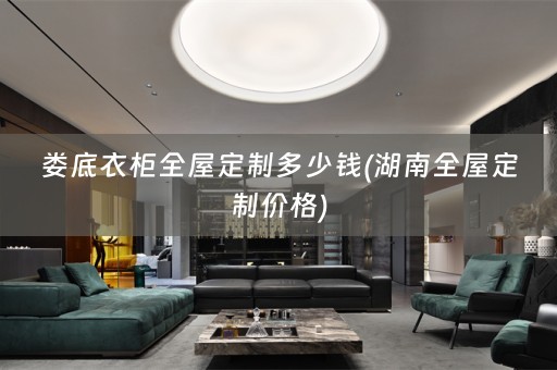 娄底衣柜价格)