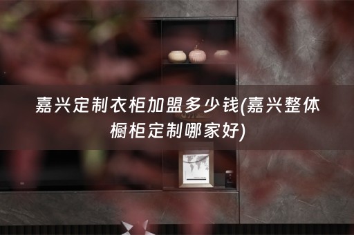 嘉兴定制衣柜加盟多少钱(嘉兴整体橱柜定制哪家好)