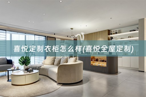 喜悦定制衣柜怎么样(喜悦)
