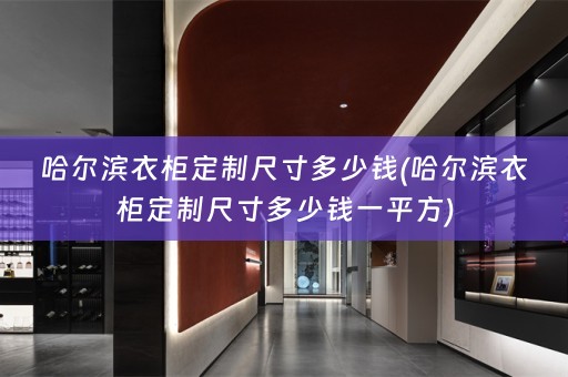 哈尔滨衣柜定制尺寸多少钱(哈尔滨衣柜定制尺寸多少钱一平方)