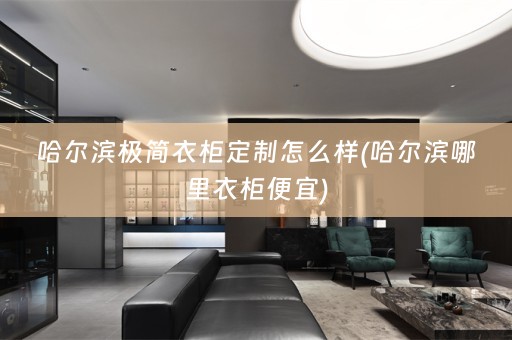 哈尔滨极简衣柜定制怎么样(哈尔滨哪里衣柜便宜)