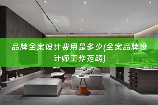 品牌费用是多少(全案品牌设计师工作范畴)