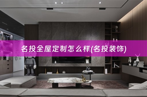名投怎么样(名投装饰)