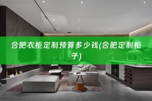 合肥衣柜定制预算多少钱(合肥定制柜子)