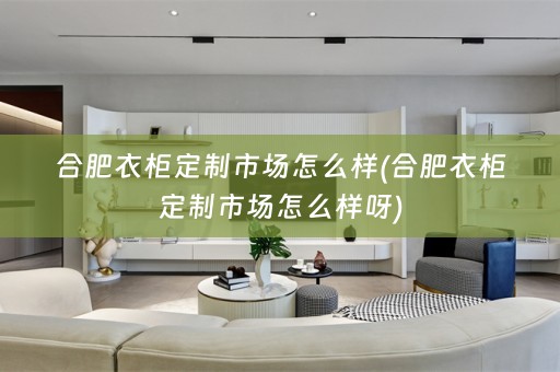 合肥衣柜定制市场怎么样(合肥衣柜定制市场怎么样呀)