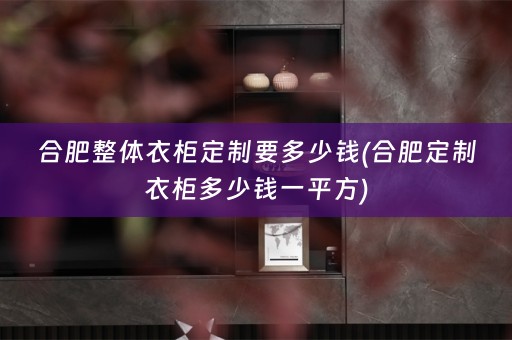 合肥整体衣柜定制要多少钱(合肥定制衣柜多少钱一平方)