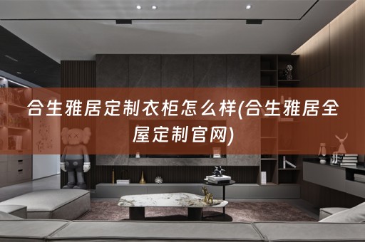 合生雅居定制衣柜怎么样(合生雅居官网)
