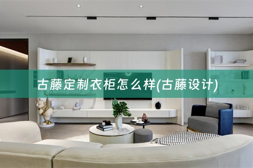 古藤定制衣柜怎么样(古藤设计)