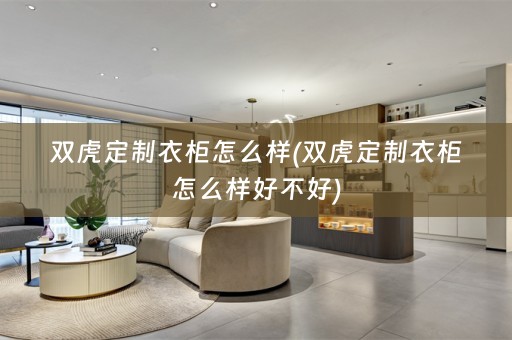 双虎定制衣柜怎么样(双虎定制衣柜怎么样好不好)