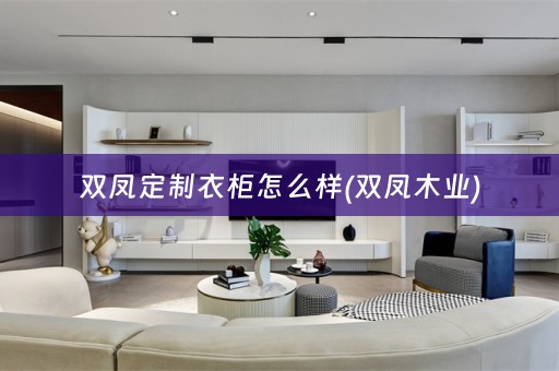 双凤定制衣柜怎么样(双凤木业)
