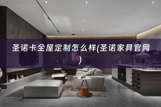 圣诺卡怎么样(圣诺家具官网)