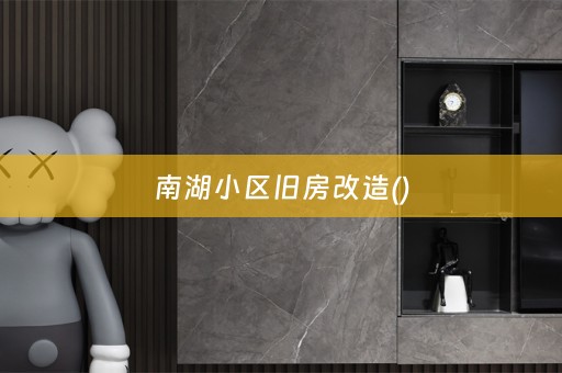 南湖小区旧房改造()