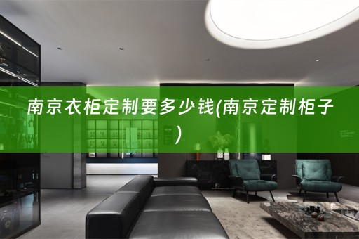 南京衣柜定制要多少钱(南京定制柜子)