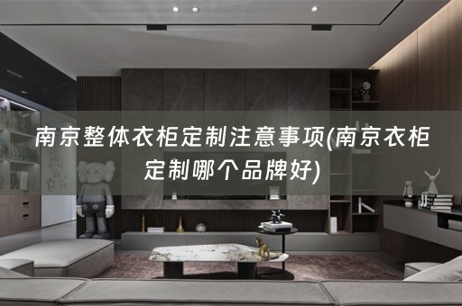 南京整体衣柜定制注意事项(南京衣柜定制哪个品牌好)