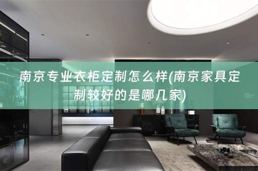 南京专业衣柜定制怎么样(南京家具定制较好的是哪几家)