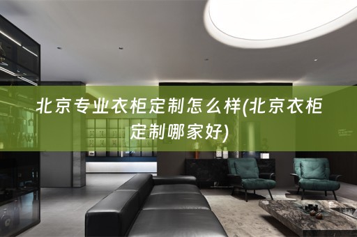 北京专业衣柜定制怎么样(北京衣柜定制哪家好)