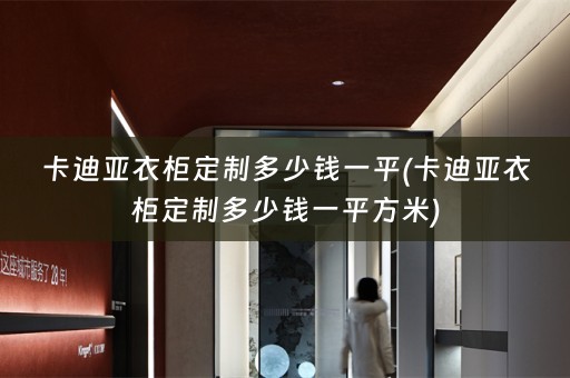 卡迪亚衣柜定制多少钱一平(卡迪亚衣柜定制多少钱一平方米)
