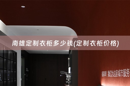 南雄定制衣柜多少钱(定制衣柜价格)