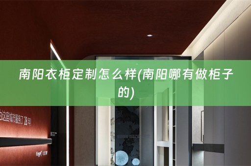 南阳衣柜定制怎么样(南阳哪有做柜子的)