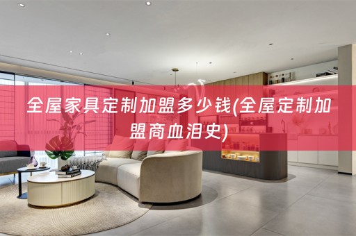 全屋家具定制加盟多少钱(加盟商血泪史)