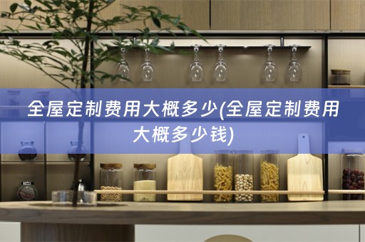 费用大概多少钱)